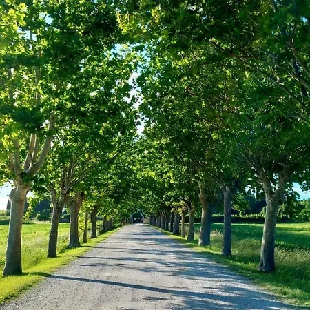 Il Tuo Casale In Toscana * La Cinquantina